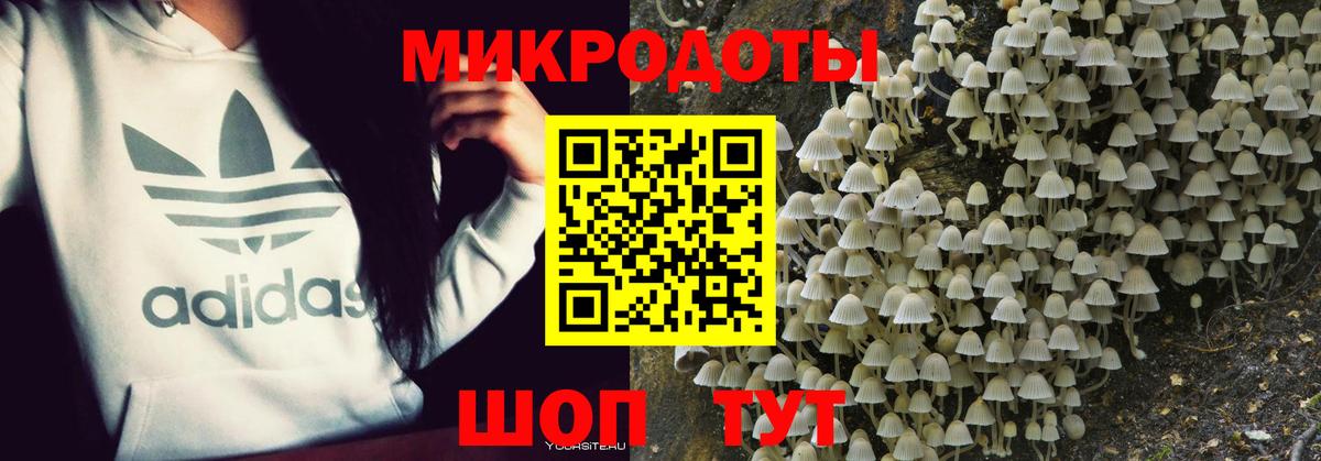 Псилоцибиновые грибы Magic Shrooms  Вход с VPN  Псилоцибиновые грибы ЛСД  Волоколамск 